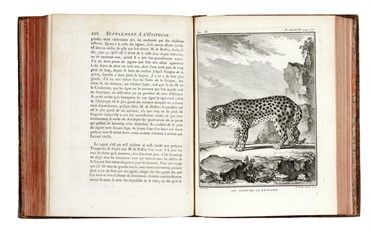  Buffon Georges Louis : Histoire naturelle gnrale et particuliere...  Bernard Germain Etienne (de) Lacpde, Louis Jean Marie Daubenton, Louis Legrand  (Digione, 1863 - Livry-Gargan, Seine-et-Oise, 1951), Nicolas De Launay  (Parigi, 1739 - 1792)  - Asta Libri, autografi e manoscritti - Libreria Antiquaria Gonnelli - Casa d'Aste - Gonnelli Casa d'Aste