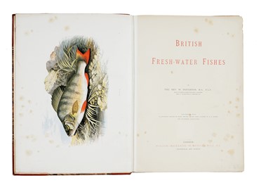  Houghton William : British fresh-water fishes [...] illustrated with a coloured figure of each species drawn from nature...  John Robson  - Asta Libri, autografi e manoscritti - Libreria Antiquaria Gonnelli - Casa d'Aste - Gonnelli Casa d'Aste