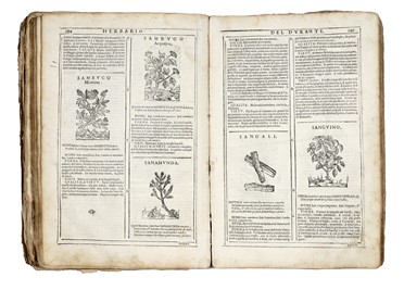  Durante Castore : Herbario novo [...] con figure, che rappresentano le vive piante, che nascono in tutta Europa & nell'Indie orientali, & occidentali. Botanica, Figurato, Medicina, Scienze naturali, Collezionismo e Bibliografia  - Auction Books, autographs & manuscripts - Libreria Antiquaria Gonnelli - Casa d'Aste - Gonnelli Casa d'Aste