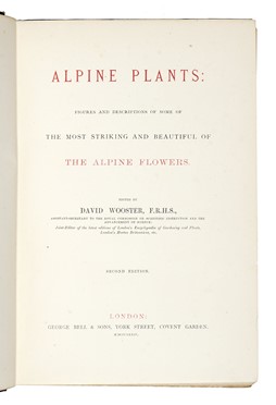 Alpine plants. Figures and descriptions of some of the most striking and beautiful of the Alpine flowers. Second edition (-second series).  - Asta Libri, autografi e manoscritti - Libreria Antiquaria Gonnelli - Casa d'Aste - Gonnelli Casa d'Aste