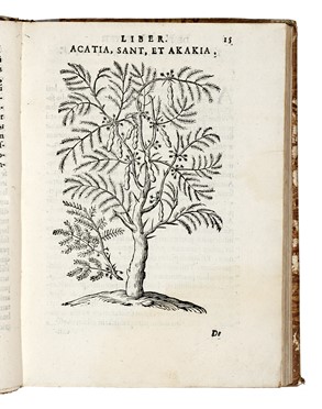  Alpino Prospero : De plantis Aegypti liber. Cum observationibus & notis Ioannis Veslingii...  - Asta Libri, autografi e manoscritti - Libreria Antiquaria Gonnelli - Casa d'Aste - Gonnelli Casa d'Aste