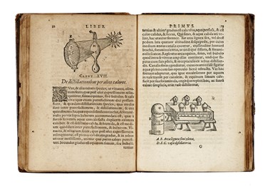  Della Porta Giovan Battista : De distillationibus libri IX.  - Asta Libri, autografi e manoscritti - Libreria Antiquaria Gonnelli - Casa d'Aste - Gonnelli Casa d'Aste