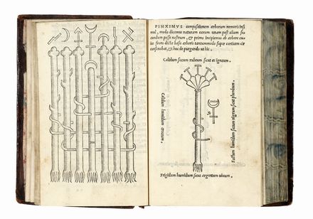  Lacinio Giano : Pretiosa margarita novella de thesauro, ac pretiosissimo philosophorum lapide.  - Asta Libri, autografi e manoscritti - Libreria Antiquaria Gonnelli - Casa d'Aste - Gonnelli Casa d'Aste