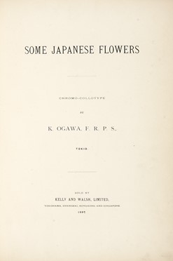  Ogawa Kazumasa : Some Japanese flowers.  - Asta Libri, autografi e manoscritti - Libreria Antiquaria Gonnelli - Casa d'Aste - Gonnelli Casa d'Aste