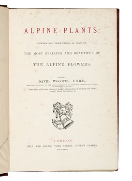 Raccolta di 13 opere illustrate di zoologia e botanica, molte delle quali dedicate alla flora alpina  Henri Louis Duhamel du Monceau, Grandville J.J. [pseud. di Gérard Jean Ignace Isidore]  (Nancy, 1803 - Vanves, 1847), Max (von) Schulze  - Asta Libri, autografi e manoscritti - Libreria Antiquaria Gonnelli - Casa d'Aste - Gonnelli Casa d'Aste