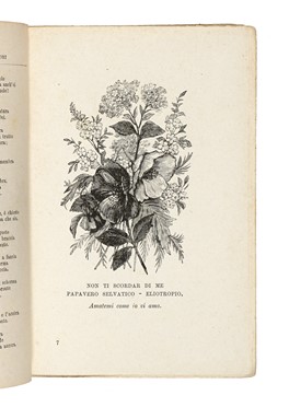 Raccolta di 13 opere illustrate di zoologia e botanica, molte delle quali dedicate alla flora alpina  Henri Louis Duhamel du Monceau, Grandville J.J. [pseud. di Gérard Jean Ignace Isidore]  (Nancy, 1803 - Vanves, 1847), Max (von) Schulze  - Asta Libri, autografi e manoscritti - Libreria Antiquaria Gonnelli - Casa d'Aste - Gonnelli Casa d'Aste
