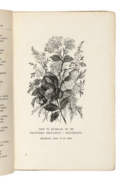 Raccolta di 13 opere illustrate di zoologia e botanica, molte delle quali dedicate alla flora alpina  Henri Louis Duhamel du Monceau, Grandville J.J. [pseud. di Grard Jean Ignace Isidore]  (Nancy, 1803 - Vanves, 1847), Max (von) Schulze  - Asta Libri, autografi e manoscritti - Libreria Antiquaria Gonnelli - Casa d'Aste - Gonnelli Casa d'Aste