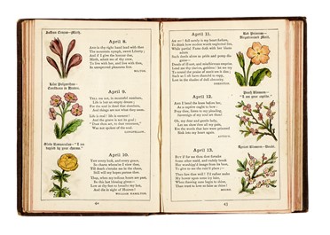 Raccolta di 13 opere illustrate di zoologia e botanica, molte delle quali dedicate alla flora alpina  Henri Louis Duhamel du Monceau, Grandville J.J. [pseud. di Gérard Jean Ignace Isidore]  (Nancy, 1803 - Vanves, 1847), Max (von) Schulze  - Asta Libri, autografi e manoscritti - Libreria Antiquaria Gonnelli - Casa d'Aste - Gonnelli Casa d'Aste