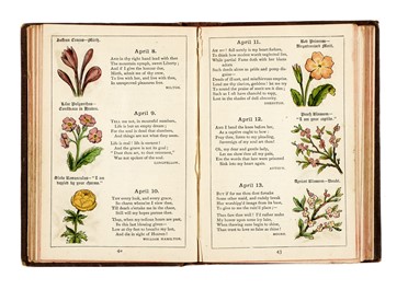 Raccolta di 13 opere illustrate di zoologia e botanica, molte delle quali dedicate alla flora alpina  Henri Louis Duhamel du Monceau, Grandville J.J. [pseud. di Grard Jean Ignace Isidore]  (Nancy, 1803 - Vanves, 1847), Max (von) Schulze  - Asta Libri, autografi e manoscritti - Libreria Antiquaria Gonnelli - Casa d'Aste - Gonnelli Casa d'Aste