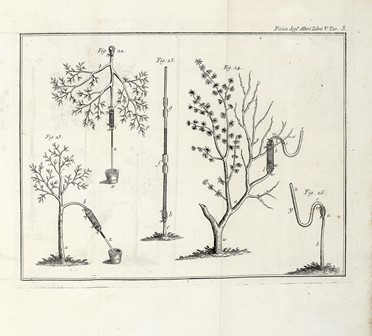 Raccolta di 13 opere illustrate di zoologia e botanica, molte delle quali dedicate alla flora alpina  Henri Louis Duhamel du Monceau, Grandville J.J. [pseud. di Gérard Jean Ignace Isidore]  (Nancy, 1803 - Vanves, 1847), Max (von) Schulze  - Asta Libri, autografi e manoscritti - Libreria Antiquaria Gonnelli - Casa d'Aste - Gonnelli Casa d'Aste