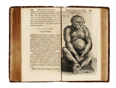  Tulp Nicolaas : Observationes medicae...  - Asta Libri, autografi e manoscritti - Libreria Antiquaria Gonnelli - Casa d'Aste - Gonnelli Casa d'Aste