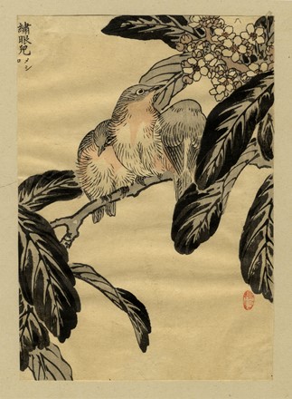  Autori vari : Lotto di quattro xilografie.  - Asta Stampe, disegni e dipinti antichi, moderni e contemporanei - Libreria Antiquaria Gonnelli - Casa d'Aste - Gonnelli Casa d'Aste