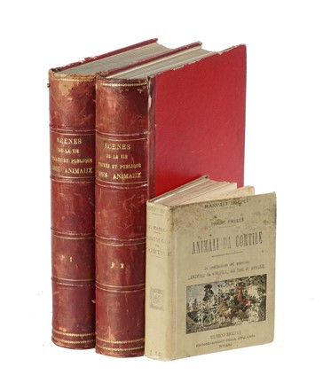  Grandville J.J. [pseud. di Gérard Jean Ignace Isidore] : Scènes de la vie privée et publique des animaux [?] publièes sous la direction de M. P.-J. Stahl...  Honoré (de) Balzac, Pierre Jules Stahl  - Asta Libri, autografi e manoscritti [ASTA A TEMPO] - Libreria Antiquaria Gonnelli - Casa d'Aste - Gonnelli Casa d'Aste