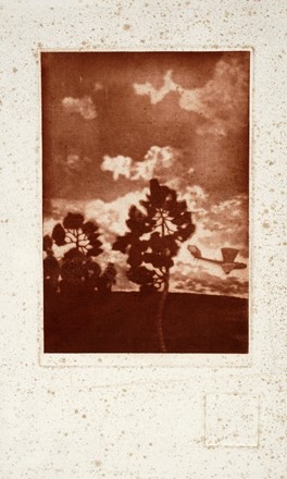  Luigi Bonazza  (Arco, 1877 - Trento, 1965) : Aeroplani Caproni.  Pietro D'Achiardi  (Pisa, 1879 - Roma, 1940), Gabriele D'Annunzio  (1863 - 1938)  - Asta Stampe, disegni e dipinti antichi, moderni e contemporanei - Libreria Antiquaria Gonnelli - Casa d'Aste - Gonnelli Casa d'Aste