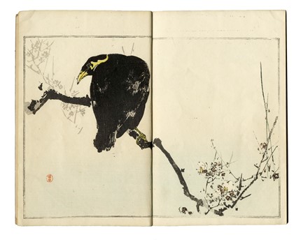  Watanabe Seitei (o Shotei)  (Edo, 1851 - 1918) : Seitei kacho gafu (Manuale di uccelli e fiori di Seitei).  - Asta Stampe, disegni e dipinti antichi, moderni e contemporanei - Libreria Antiquaria Gonnelli - Casa d'Aste - Gonnelli Casa d'Aste