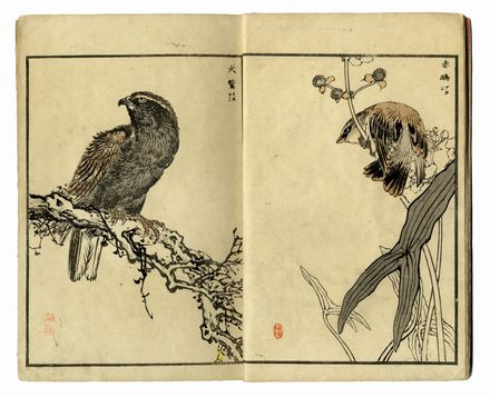  Kono Bairei  (Kyoto, 1844 - 1895) : Bairei hyakucho gafu (Album dei cento uccelli e fiori di Bairei).  - Asta Stampe, disegni e dipinti antichi, moderni e contemporanei - Libreria Antiquaria Gonnelli - Casa d'Aste - Gonnelli Casa d'Aste