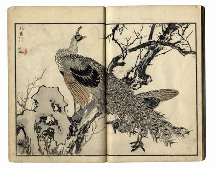  Kono Bairei  (Kyoto, 1844 - 1895) : Bairei hyakucho gafu (Album dei cento uccelli e fiori di Bairei).  - Asta Stampe, disegni e dipinti antichi, moderni e contemporanei - Libreria Antiquaria Gonnelli - Casa d'Aste - Gonnelli Casa d'Aste