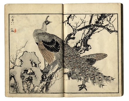  Kono Bairei  (Kyoto,, 1844 - 1895) : Bairei hyakucho gafu (Album dei cento uccelli e fiori di Bairei).  - Asta Stampe, disegni e dipinti antichi, moderni e contemporanei - Libreria Antiquaria Gonnelli - Casa d'Aste - Gonnelli Casa d'Aste