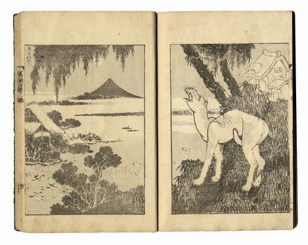  Katsushika Hokusai  (Edo, 1760 - 1849) : Fugaku hyakkei (Le cento vedute del monte Fuji).  - Asta Stampe, disegni e dipinti antichi, moderni e contemporanei - Libreria Antiquaria Gonnelli - Casa d'Aste - Gonnelli Casa d'Aste