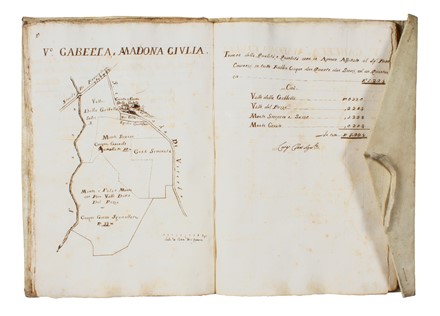 Cabreo. Carbognano / Misure di tutti li terreni che si possiedono in detto feudo dal [...] Principe D. Urbano Barberini di Sciarra [...]. Storia, Storia, Diritto e Politica  - Auction Books, autographs & manuscripts - Libreria Antiquaria Gonnelli - Casa d'Aste - Gonnelli Casa d'Aste