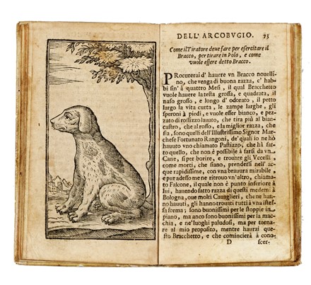  Bonfadini Vita : La caccia dell'arcobugio [...]. Con la prattica del tirare in volo, in aere, & à borita...  - Asta Libri, autografi e manoscritti - Libreria Antiquaria Gonnelli - Casa d'Aste - Gonnelli Casa d'Aste