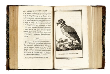  Buffon Georges Louis : Histoire Naturelle [...] Matieres Gnrales. Tome premier (-vingt-quatrime). Zoologia, Mineralogia, Botanica, Scienze naturali, Scienze naturali, Scienze naturali  - Auction Books, autographs & manuscripts - Libreria Antiquaria Gonnelli - Casa d'Aste - Gonnelli Casa d'Aste