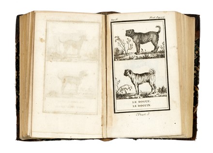  Buffon Georges Louis : Histoire Naturelle [...] Matieres Générales. Tome premier (-vingt-quatrième). Zoologia, Mineralogia, Botanica, Scienze naturali, Scienze naturali, Scienze naturali  - Auction Books, autographs & manuscripts - Libreria Antiquaria Gonnelli - Casa d'Aste - Gonnelli Casa d'Aste