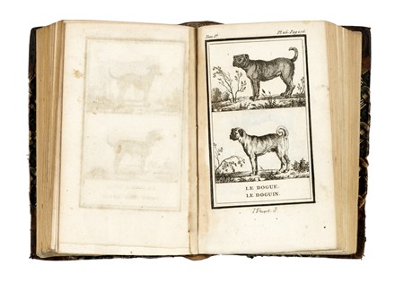  Buffon Georges Louis : Histoire Naturelle [...] Matieres Gnrales. Tome premier (-vingt-quatrime).  - Asta Libri, autografi e manoscritti - Libreria Antiquaria Gonnelli - Casa d'Aste - Gonnelli Casa d'Aste