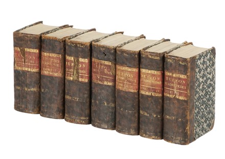  Buffon Georges Louis : Histoire Naturelle [...] Matieres Générales. Tome premier (-vingt-quatrième). Zoologia, Mineralogia, Botanica, Scienze naturali, Scienze naturali, Scienze naturali  - Auction Books, autographs & manuscripts - Libreria Antiquaria Gonnelli - Casa d'Aste - Gonnelli Casa d'Aste