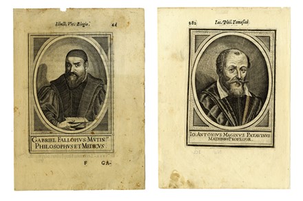  Anonimo del XVII secolo : Lotto di sedici ritratti di medici illustri.  - Asta Stampe, disegni e dipinti antichi, moderni e contemporanei [ASTA A TEMPO] - Libreria Antiquaria Gonnelli - Casa d'Aste - Gonnelli Casa d'Aste