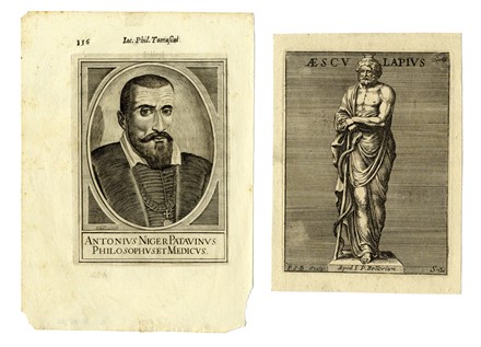  Anonimo del XVII secolo : Lotto di sedici ritratti di medici illustri.  - Asta Stampe, disegni e dipinti antichi, moderni e contemporanei [ASTA A TEMPO] - Libreria Antiquaria Gonnelli - Casa d'Aste - Gonnelli Casa d'Aste