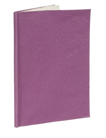  Missirini Melchiorre : La piazza del Granduca di Firenze co' suoi monumenti...  Francesco Pieraccini  (disegnatore e incisore attivo a Firenze nella prima metà del XIX secolo, ), Giovanni Paolo Lasinio  - Asta Libri, autografi e manoscritti - Libreria Antiquaria Gonnelli - Casa d'Aste - Gonnelli Casa d'Aste