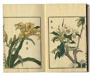  Kono Bairei  (Kyoto,, 1844 - 1895) : Bairei hyakucho gafu (Album dei cento uccelli e fiori di Bairei).  - Asta Arte antica, moderna e contemporanea - Libreria Antiquaria Gonnelli - Casa d'Aste - Gonnelli Casa d'Aste
