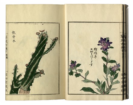  Kono Bairei  (Kyoto,, 1844 - 1895) : Bairei hyakucho gafu (Album dei cento uccelli e fiori di Bairei).  - Asta Arte antica, moderna e contemporanea - Libreria Antiquaria Gonnelli - Casa d'Aste - Gonnelli Casa d'Aste