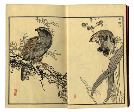  Kono Bairei  (Kyoto,, 1844 - 1895) : Bairei hyakucho gafu (Album dei cento uccelli e fiori di Bairei).  - Asta Arte antica, moderna e contemporanea - Libreria Antiquaria Gonnelli - Casa d'Aste - Gonnelli Casa d'Aste