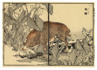  Kono Bairei  (Kyoto,, 1844 - 1895) : Cucciolo di cinghiale / Pernici.  - Auction Ancient, modern and contemporary art - Libreria Antiquaria Gonnelli - Casa d'Aste - Gonnelli Casa d'Aste