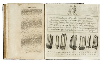  Cal Carlo : Historia de' Sveui nel conquisto de' Regni di Napoli, e di Sicilia, per l'Imperadore Enrico Sesto. Con la vita del beato Giovanni Cala capitan generale che fu di detto imperadore... Storia, Storia, Diritto e Politica  - Auction Books, autographs & manuscripts - Libreria Antiquaria Gonnelli - Casa d'Aste - Gonnelli Casa d'Aste