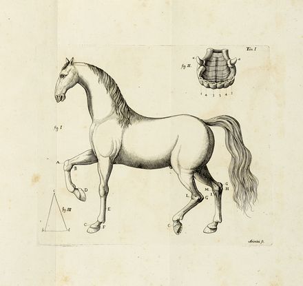  Bonsi Francesco : Regole per conoscere perfettamente le bellezze, e i difetti de'  [..]