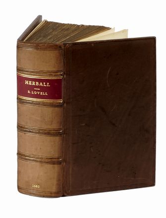  Lovell Robert : Pambotanologia sive, Enchiridion Botanicum. Or, a Compleat Herball...  - Asta Libri, autografi e manoscritti - Libreria Antiquaria Gonnelli - Casa d'Aste - Gonnelli Casa d'Aste