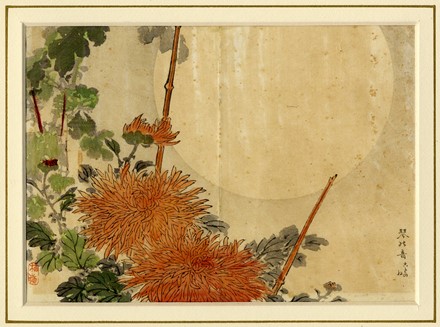  Kono Bairei  (Kyoto,, 1844 - 1895) : Quattro tavole da Bairei Kiku hyakushu (Cento tipi di crisantemi di Bairei).  - Asta Arte Antica, Moderna e Contemporanea - PARTE I - Libreria Antiquaria Gonnelli - Casa d'Aste - Gonnelli Casa d'Aste