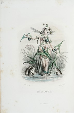  Grandville J.J. [pseud. di Gérard Jean Ignace Isidore] : Les Fleurs Animées [...] Première partie (-deuxième).  - Asta Libri a stampa dal XVI al XX secolo [ASTA A TEMPO - PARTE II] - Libreria Antiquaria Gonnelli - Casa d'Aste - Gonnelli Casa d'Aste