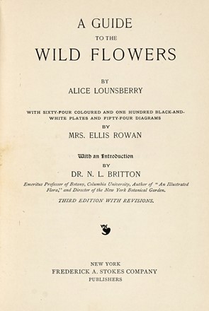  Lounsberry Alice : A guide to the wild flowers.  Ellis Rowan  - Asta Libri a stampa dal XVI al XX secolo [ASTA A TEMPO - PARTE II] - Libreria Antiquaria Gonnelli - Casa d'Aste - Gonnelli Casa d'Aste