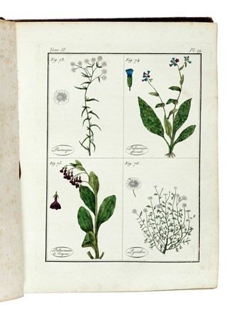 Roques Joseph : Plantes usuelles, indig�nes et exotiques. Tome premier (-seconde). Botanica, Figurato, Letteratura francese, Scienze tecniche e matematiche, Scienze naturali, Collezionismo e Bibliografia, Letteratura  - Auction Books from XV to XIX Century [II Part] - Libreria Antiquaria Gonnelli - Casa d'Aste - Gonnelli Casa d'Aste