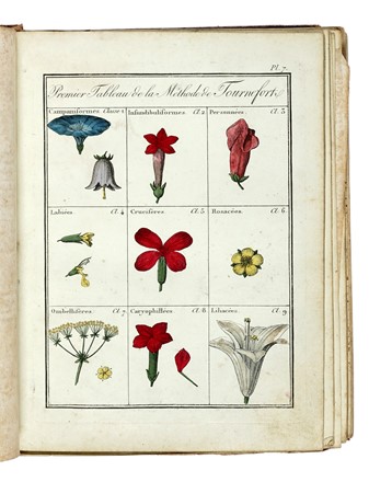  Roques Joseph : Plantes usuelles, indig�nes et exotiques. Tome premier (-seconde). Botanica, Figurato, Letteratura francese, Scienze tecniche e matematiche, Scienze naturali, Collezionismo e Bibliografia, Letteratura  - Auction Books from XV to XIX Century [II Part] - Libreria Antiquaria Gonnelli - Casa d'Aste - Gonnelli Casa d'Aste