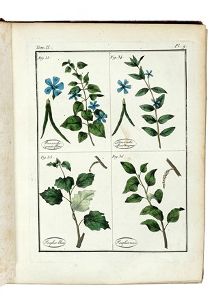  Roques Joseph : Plantes usuelles, indig�nes et exotiques. Tome premier (-seconde). Botanica, Figurato, Letteratura francese, Scienze tecniche e matematiche, Scienze naturali, Collezionismo e Bibliografia, Letteratura  - Auction Books from XV to XIX Century [II Part] - Libreria Antiquaria Gonnelli - Casa d'Aste - Gonnelli Casa d'Aste