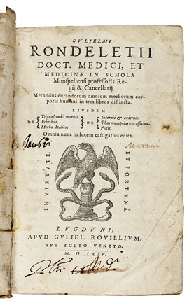 Lotto composto di 3 opere di medicina del XVI secolo. Medicina  Giovanni Rondelet, Alexandre De Tralles, Petrus Gorraeus  - Auction Libri a stampa dal XVI al XX secolo [ASTA A TEMPO - PARTE II] - Libreria Antiquaria Gonnelli - Casa d'Aste - Gonnelli Casa d'Aste
