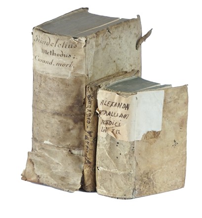 Lotto composto di 3 opere di medicina del XVI secolo. Medicina  Giovanni Rondelet, Alexandre De Tralles, Petrus Gorraeus  - Auction Libri a stampa dal XVI al XX secolo [ASTA A TEMPO - PARTE II] - Libreria Antiquaria Gonnelli - Casa d'Aste - Gonnelli Casa d'Aste