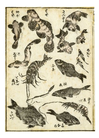  Katsushika Hokusai  (Edo, 1760 - 1849) [da] : Cinque tavole da (Katsushika Iitsu iboku) Hokusai manga shohen-jûgohen.  - Asta Arte antica, Orientalia e Cartografia [ASTA A TEMPO - PARTE I] - Libreria Antiquaria Gonnelli - Casa d'Aste - Gonnelli Casa d'Aste