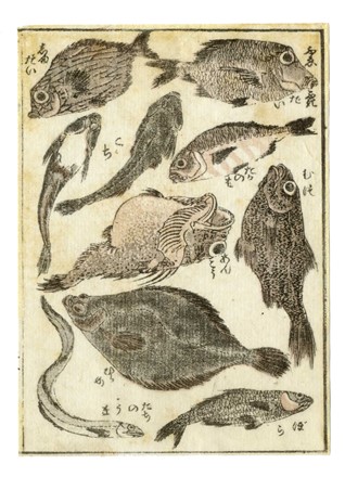  Katsushika Hokusai  (Edo, 1760 - 1849) [da] : Cinque tavole da (Katsushika Iitsu iboku) Hokusai manga shohen-jûgohen.  - Asta Arte antica, Orientalia e Cartografia [ASTA A TEMPO - PARTE I] - Libreria Antiquaria Gonnelli - Casa d'Aste - Gonnelli Casa d'Aste