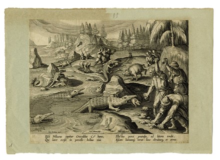  Jan Van der Straet (detto Stradano)  (Bruges, 1523 - Firenze, 1605) [da] : Cinque tavole da Venationes Ferarum, Avium, Piscium. Pugnae Bestiariorum: & mutuae Bestiarum,...  - Asta Arte antica, Orientalia e Cartografia [ASTA A TEMPO - PARTE I] - Libreria Antiquaria Gonnelli - Casa d'Aste - Gonnelli Casa d'Aste